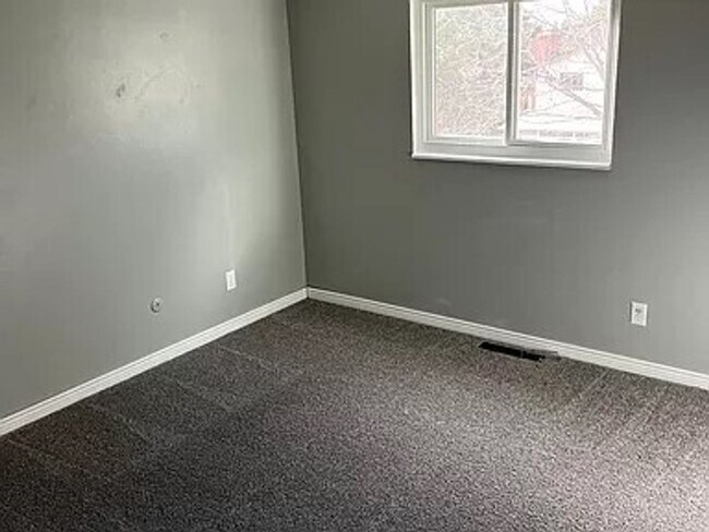 Building Photo - Spacious Home on a Large Lot in Villa Loma Neighborhood in D11