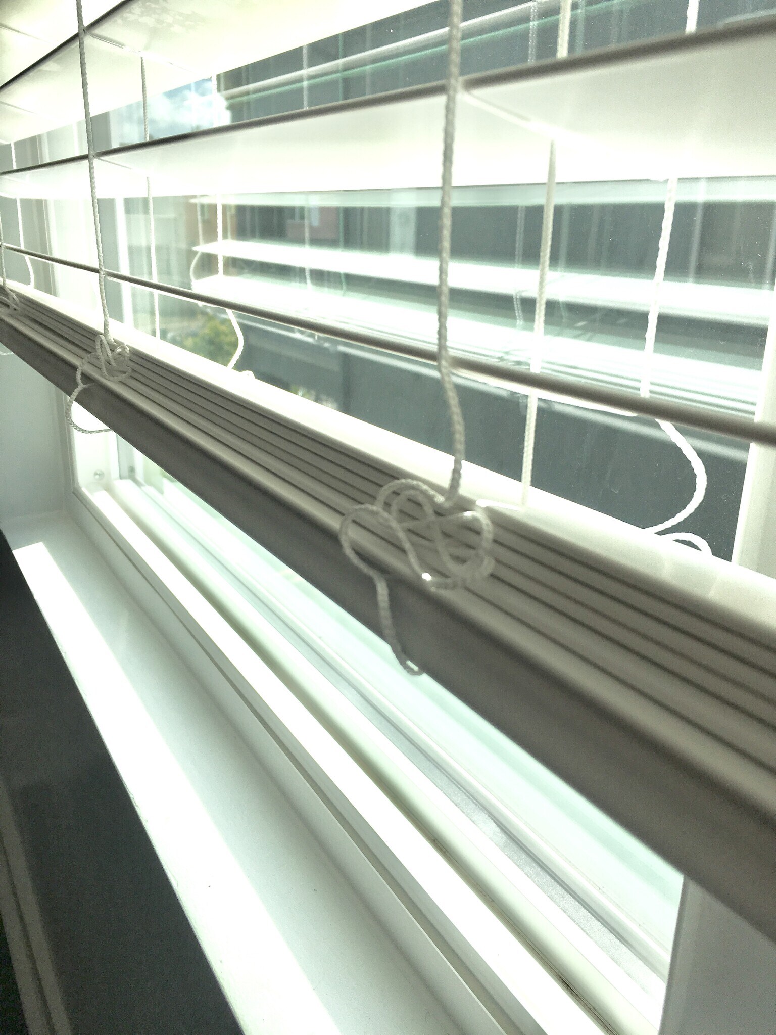 Building Photo - 1329 5th Ave