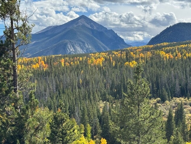 Building Photo - Light Bright 2 BDR plus Loft 3BATH