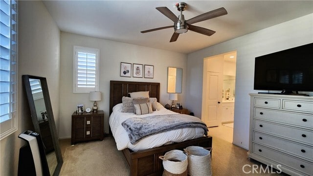 Building Photo - 3341 Pine Ridge Loop