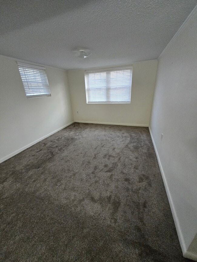 Building Photo - 2923 Celeste Dr