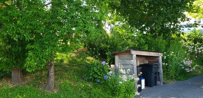 Garbage bin storage - 57 Franklin St