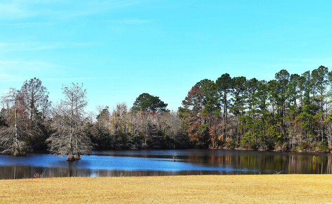 Building Photo - 190 Waccamaw Ln