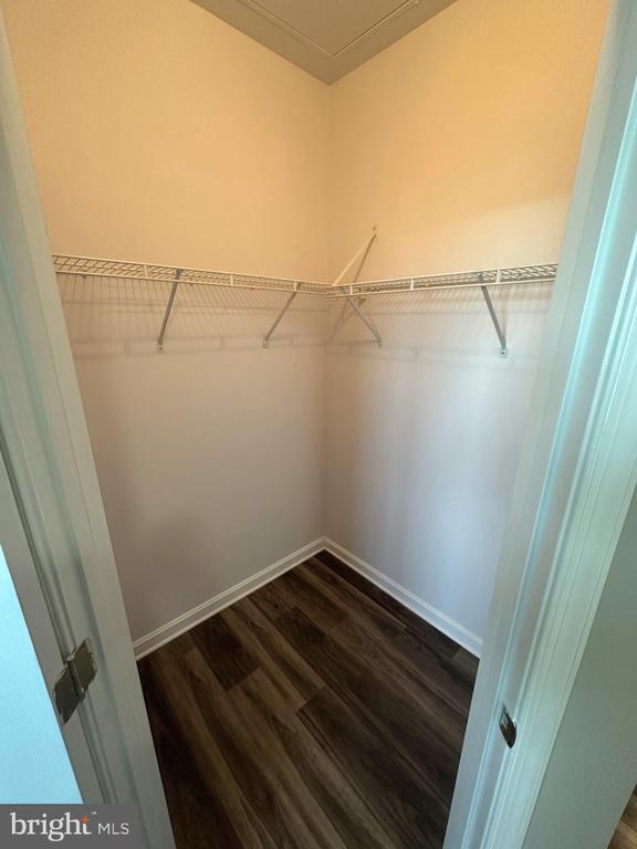 Building Photo - 14226 Hampshire Hall Ct
