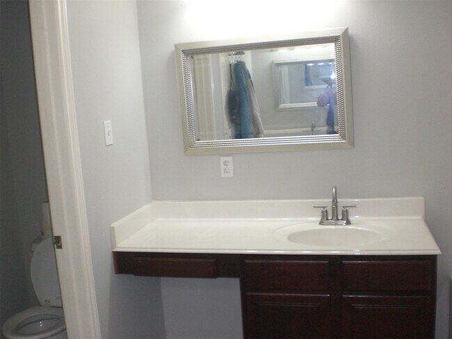 Building Photo - 5742 Saluda Creek Ln