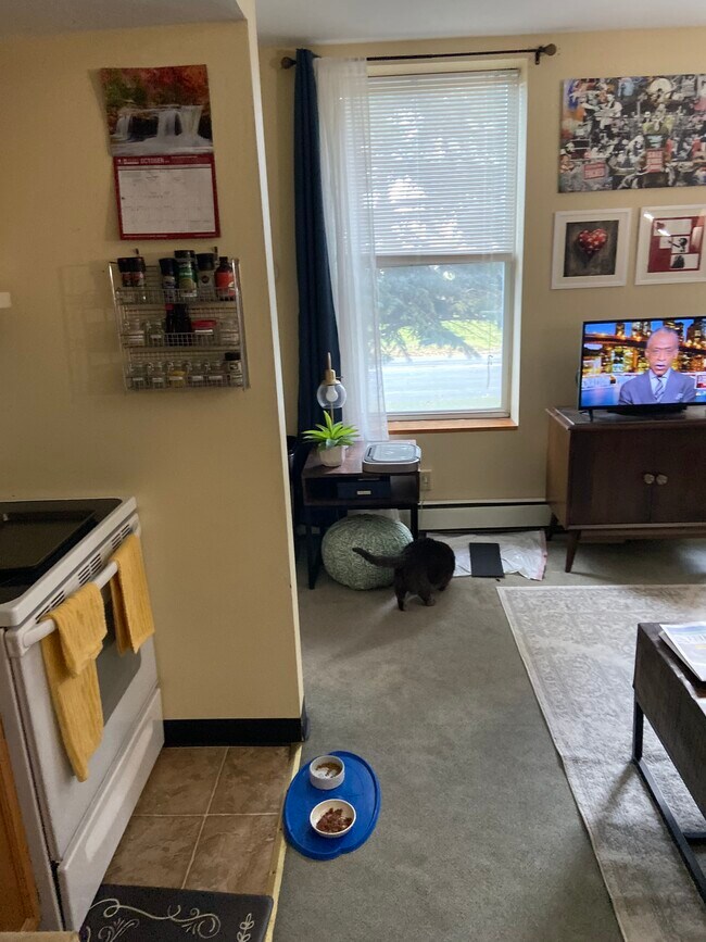 1 Bedroom Kitchen 3 - 112 US Oval