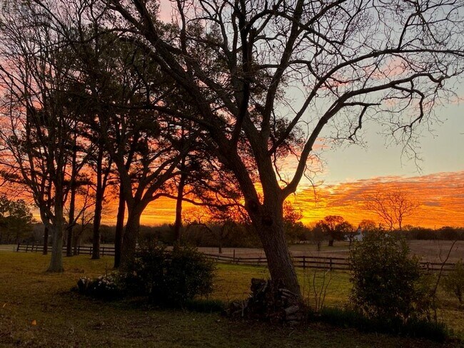 Building Photo - 9500 Wesley Church Ln