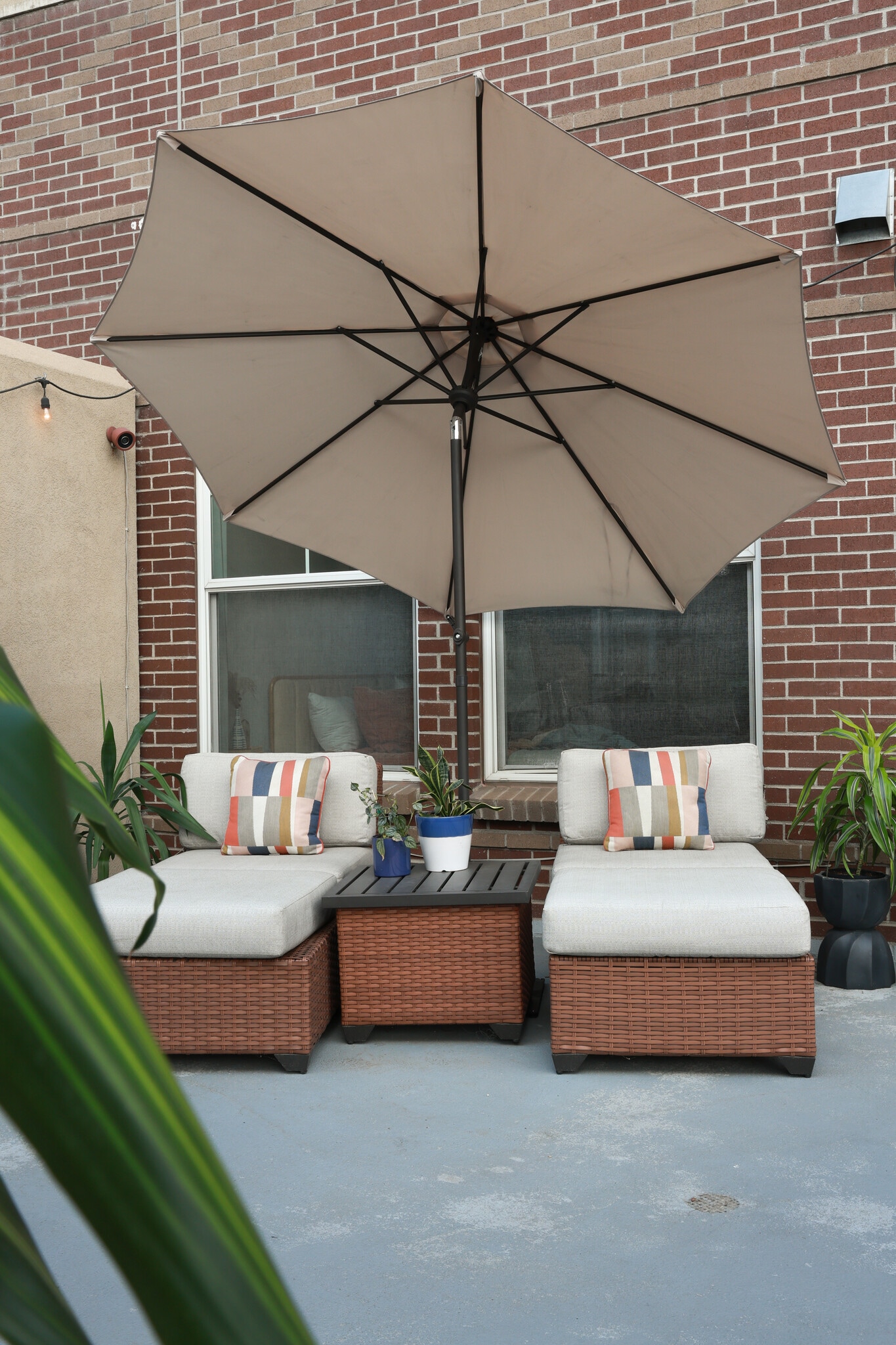Sunbathing all summer - 1441 Central St