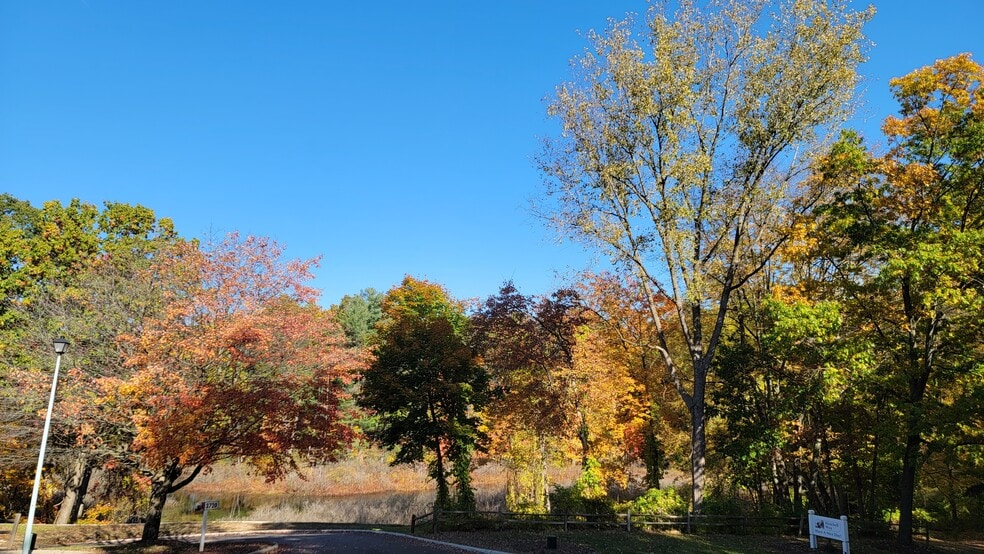 fall view from living room window - 3705 Winchell Ave