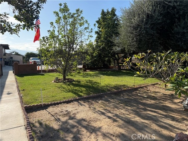 Building Photo - 3590 Buchanan St