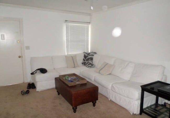 Spacious living room - 3829 Wade St