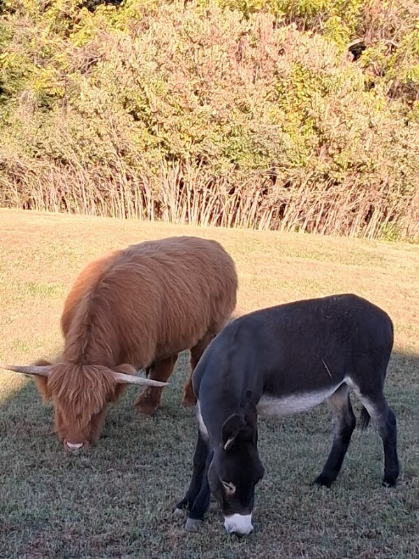 Building Photo - 6860 SE Prescher Rd