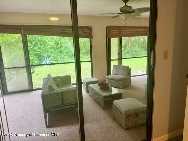 Building Photo - 15 Begonias Ct