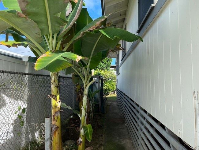 Building Photo - Wonderful Kaneohe 3 bedrooms, 1.5 bath House with Carport - Avail now!