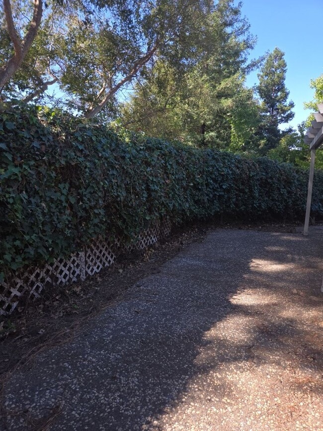 Building Photo - Charming Single Story 3 Bed 2 Bath House