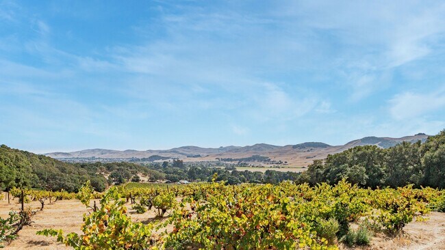Building Photo - Hilltop Estate in Green Valley-Fully Furni...