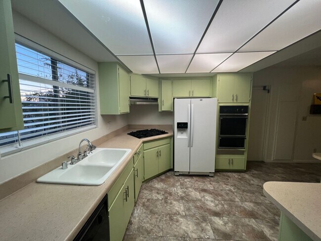 Building Photo - Large Home in Well Established Chula Vista Neighborhood