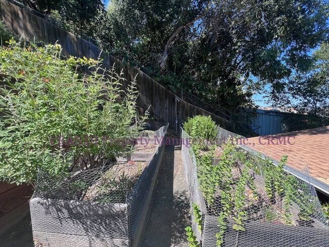 Building Photo - "Charming 2-Bedroom Retreat in San Anselmo...