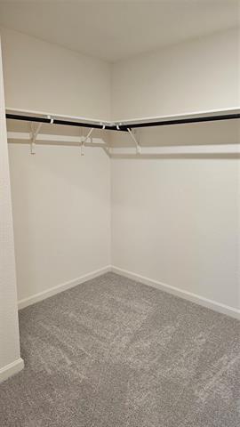 Building Photo - 2102 Prairie Ln