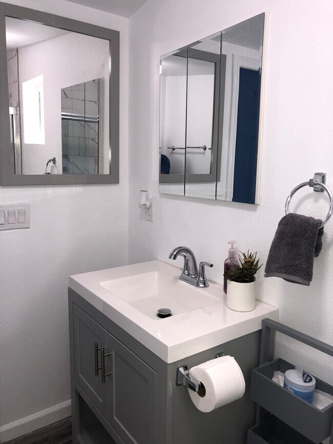 Close up of sink - 19915 Saticoy St
