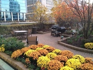 Building Photo - 400 N La Salle Dr