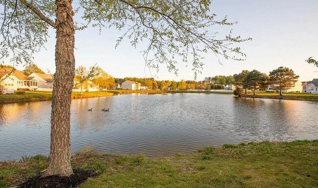 Building Photo - 207 Barbary Coast Dr