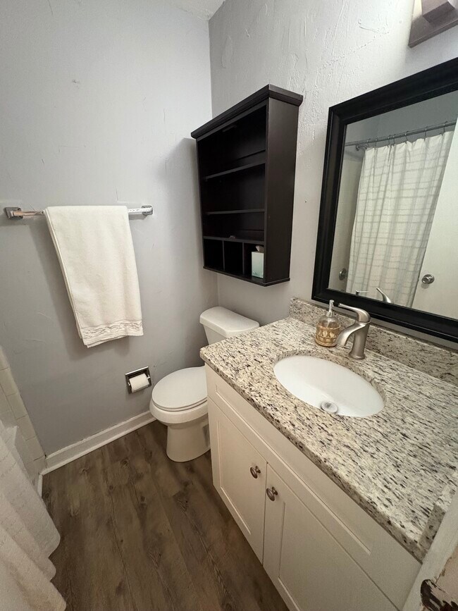 Bathroom #2 - 300 E Park Ave