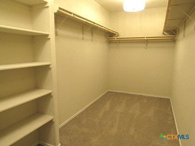 Building Photo - 9407 Zayden Dr