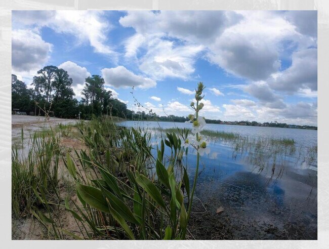 Building Photo - 3564 Southpointe Dr