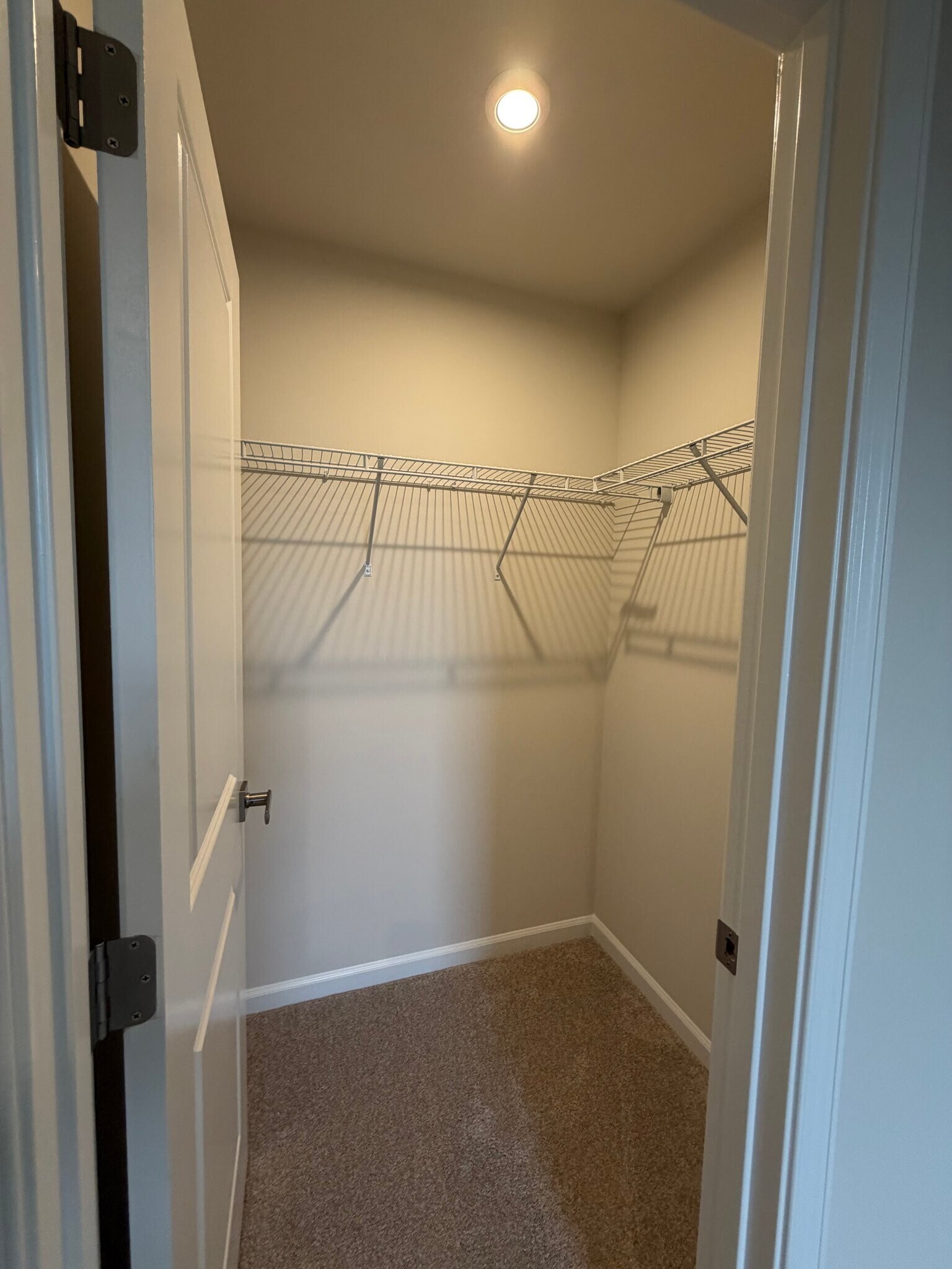 Building Photo - 289 Walsh Ln