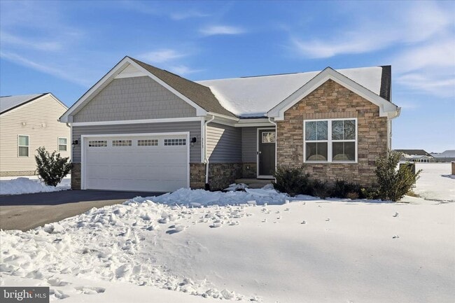 Building Photo - 313 Switchgrass Ct