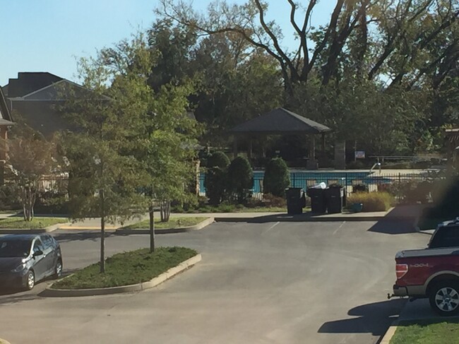 View of the pool from bedroom 2 about 350 ft away. - 1816 Riverbirch Lane