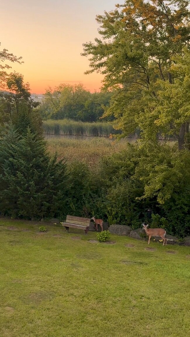 Building Photo - 906 Thornwood Dr