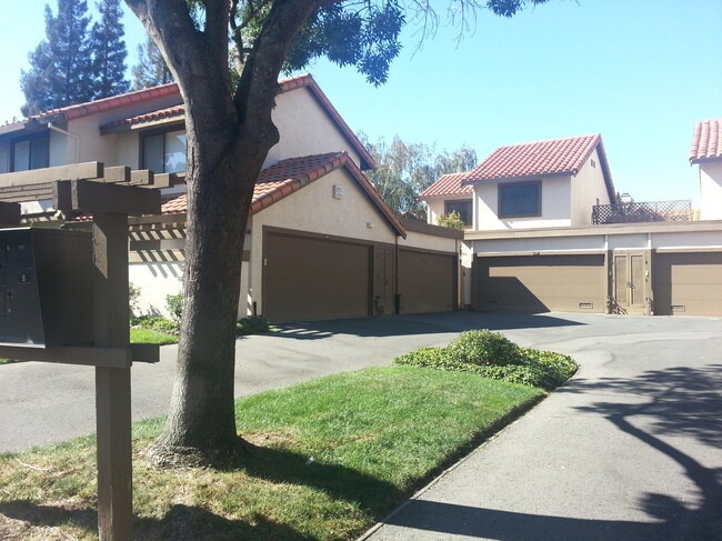 Building Photo - 295 Pimlico Dr