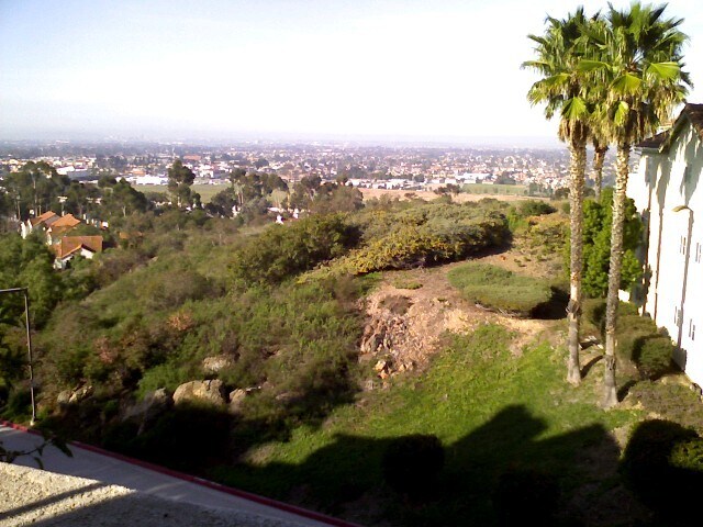 Balcony View - 11235 Affinity Ct