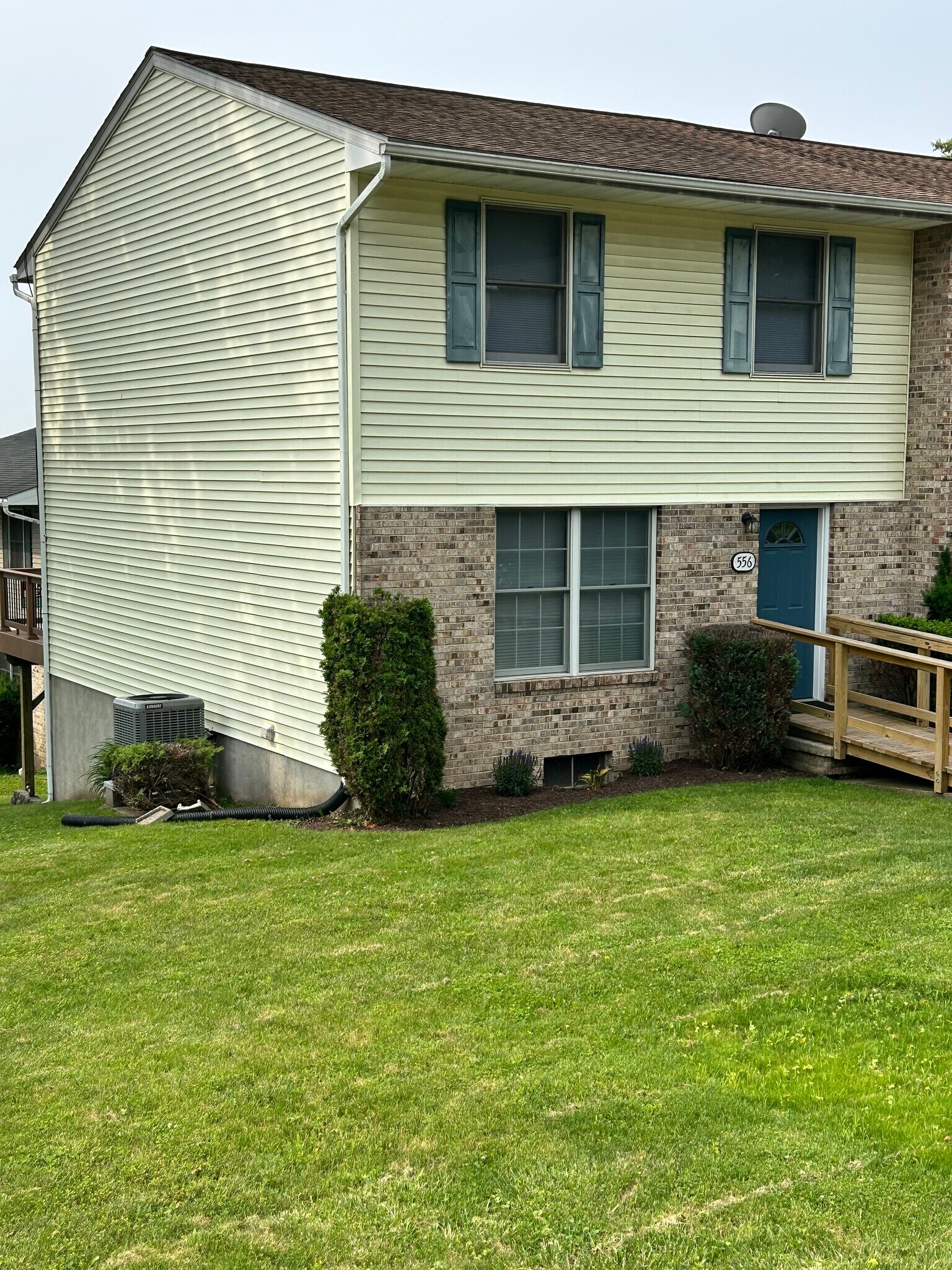Spacious Yard - 556 Becker St