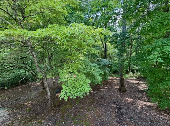 Building Photo - 126 Skiatook Way