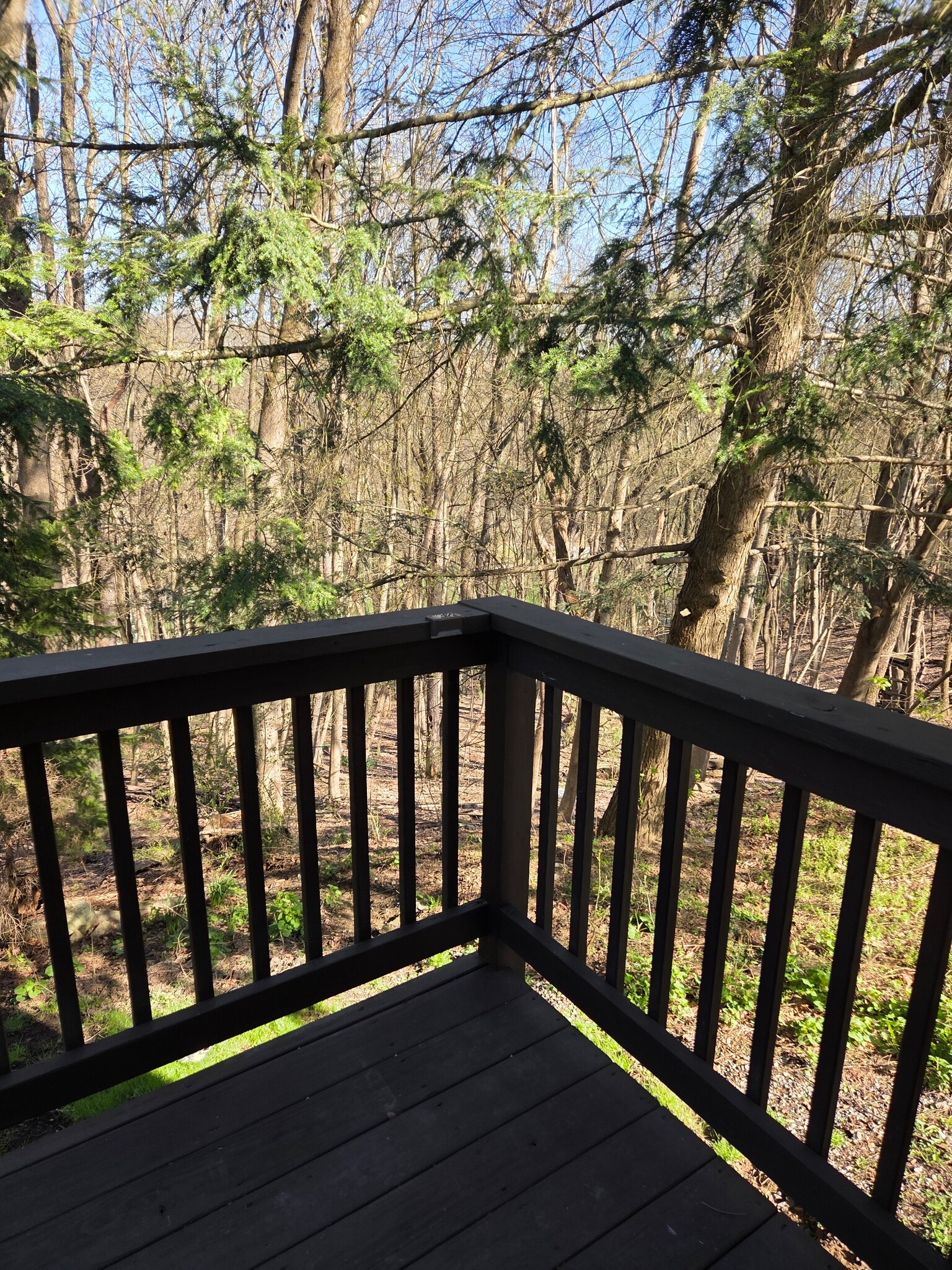 Freshly stained back deck railing - 496 Mercer Rd