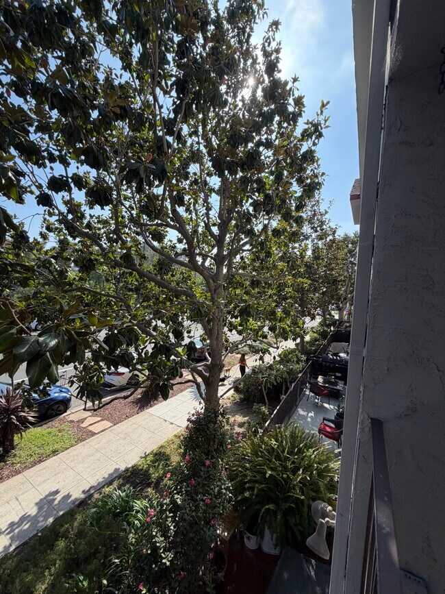 Building Photo - 540 Hawthorn St