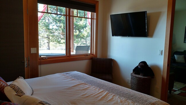 Building Photo - Executive Suite/Vacation/Short Term Rental...