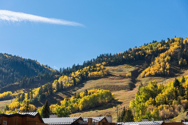 Building Photo - 120 Juan St