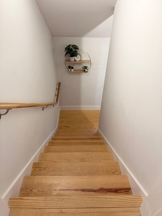 Building Photo - Located in downtown Lexington - close to W&L and VMI