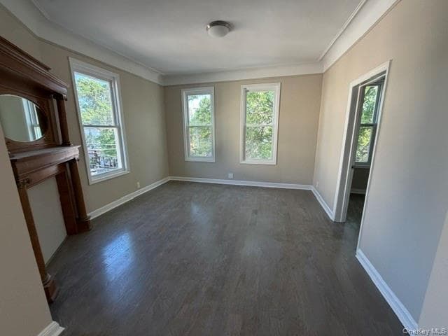 Building Photo - 667 Morris Park Ave