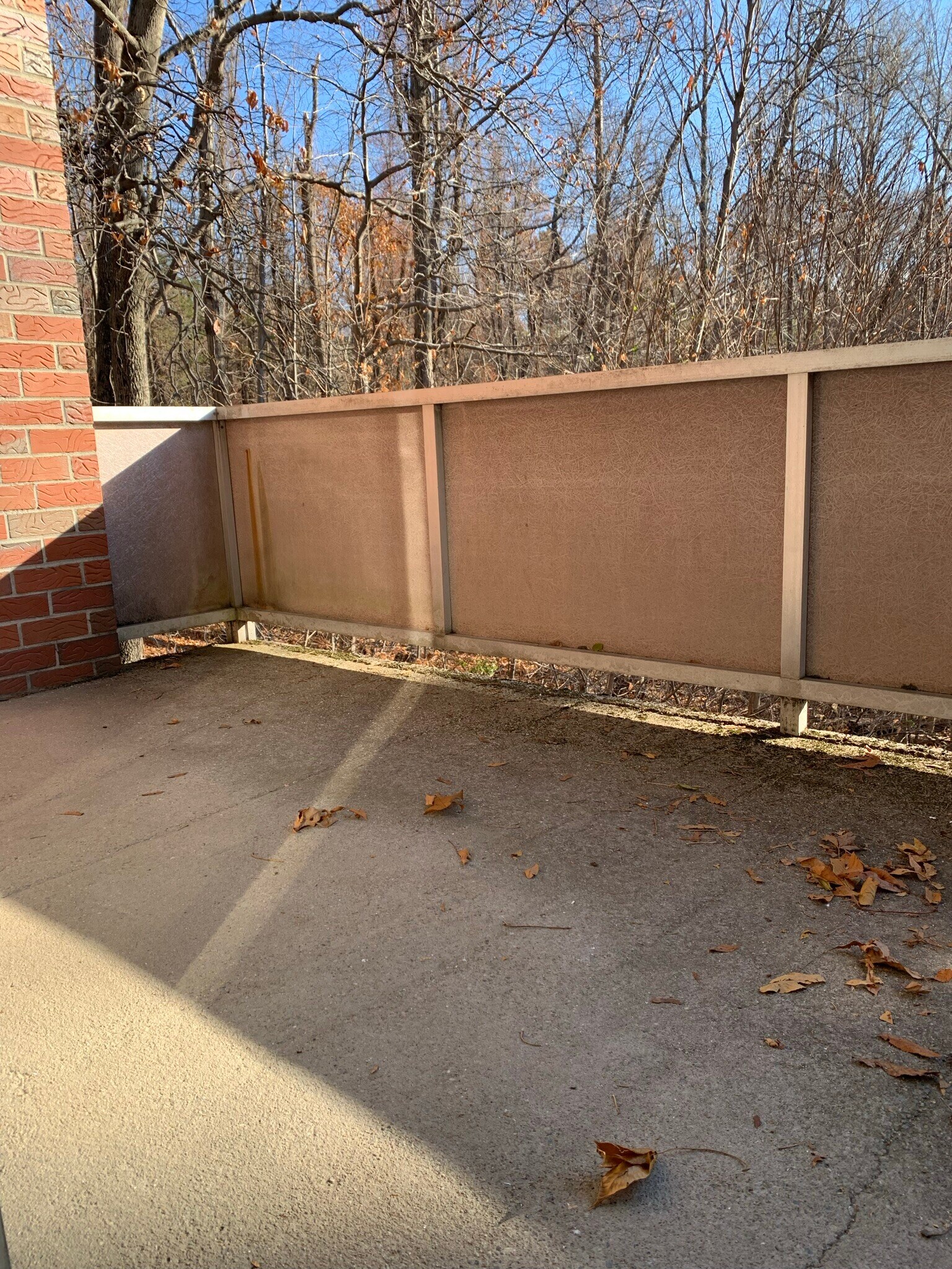 Balcony - 96 Lionel Ave