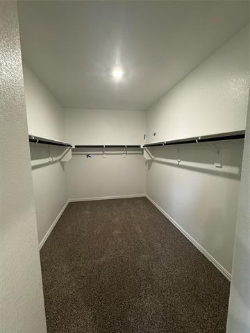 Building Photo - 2232 Lone Star Ln