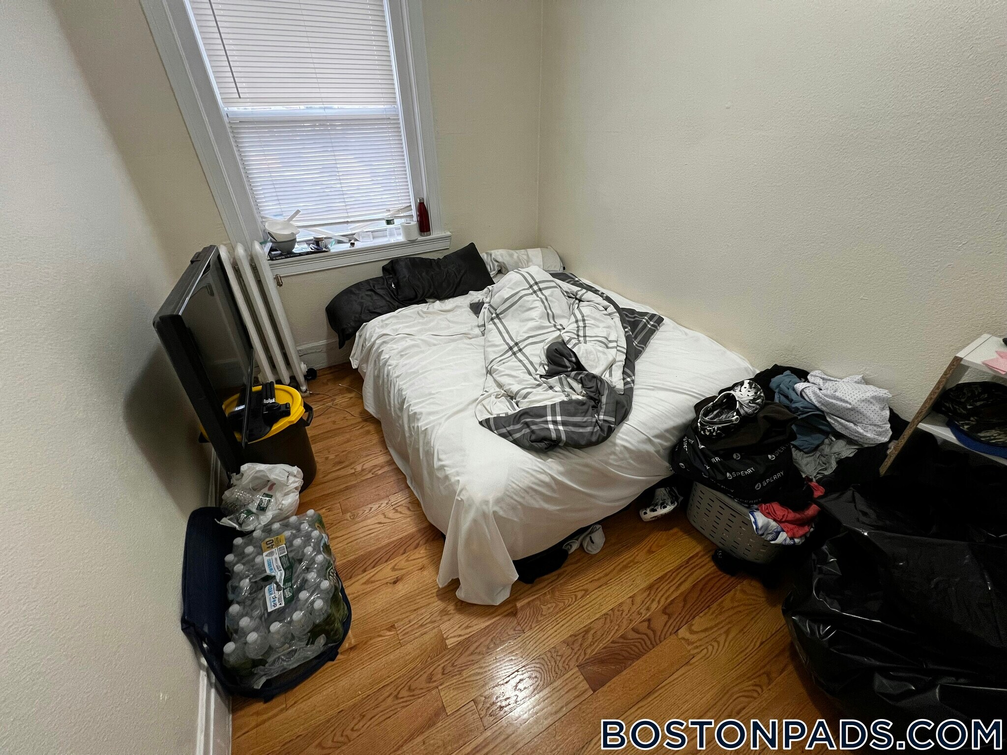 Building Photo - 244 Kelton St