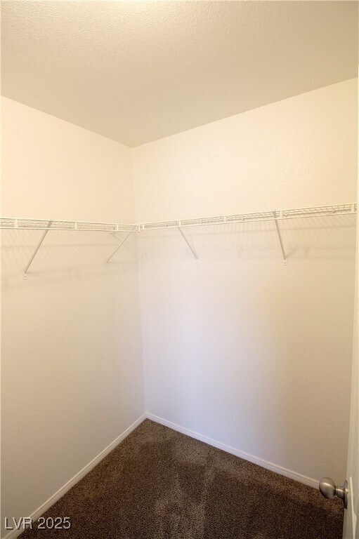 Building Photo - 925 Blushing Rose Pl