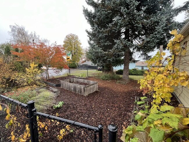 Building Photo - Cozy Portland Gem with Bright, Open Living...