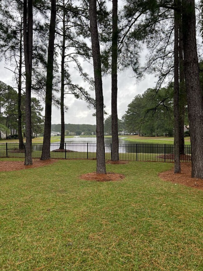 Building Photo - Location: Beautiful 3 bedroom, 2.5 bathroom single family home in Eagles Pointe Bluffton SC!