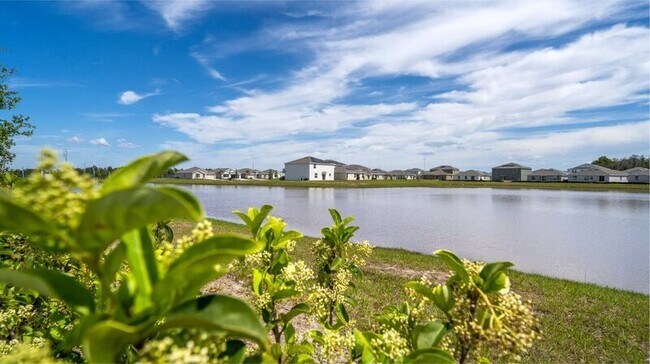 Building Photo - 5030 Four Strand Ct